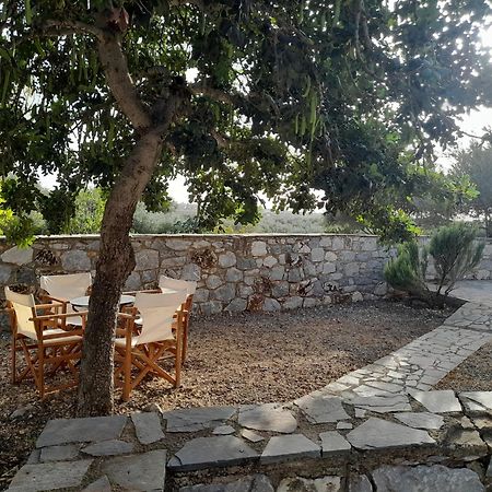 Ferienwohnung The Two Carob Trees, Traditional Stonehouse, Nikandri, Pirgos Diros Lefkias Exterior foto