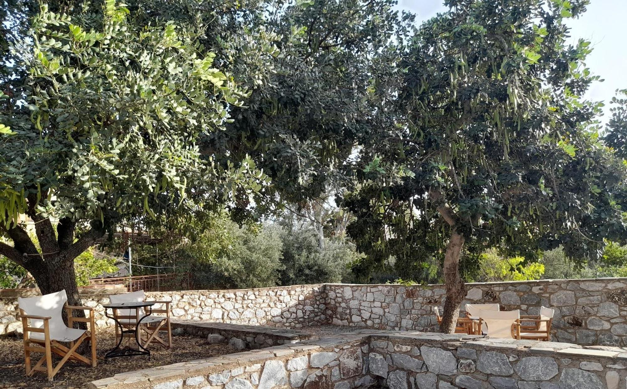 Ferienwohnung The Two Carob Trees, Traditional Stonehouse, Nikandri, Pirgos Diros Lefkias Exterior foto